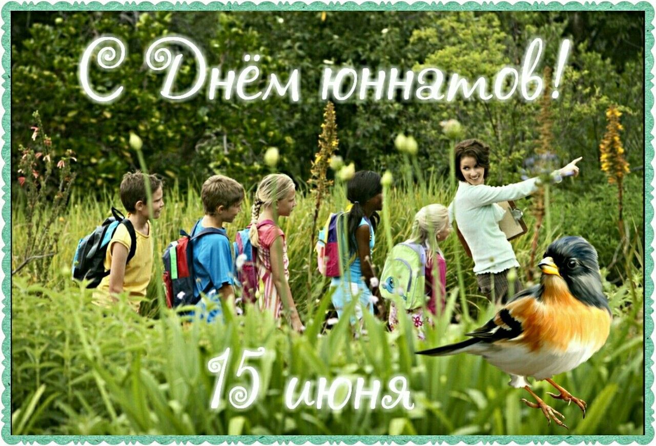 День создания юннатского движения в России открытки
