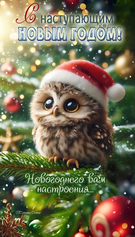 ▷ Рождественские открытки: Анимированные картинки, гифки и анимация - % БЕСПЛАТНО!