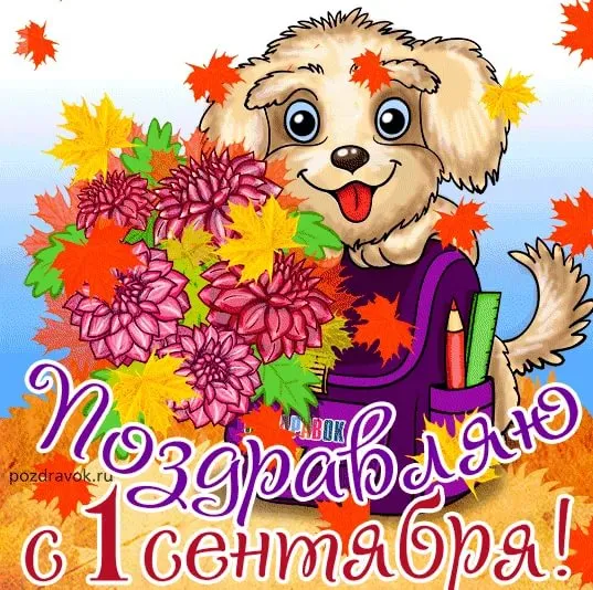Картинки с Днем знаний (80+ открыток). Прикольные открытки с Днем знаний