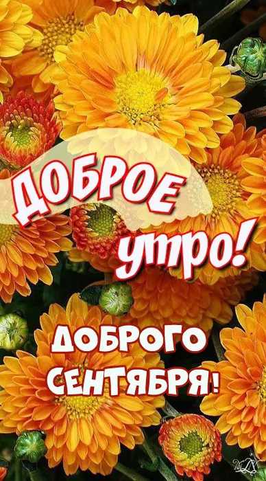 Картинки "Доброе сентябрьское утро". Картинки с Добрым сентябрьским утром 