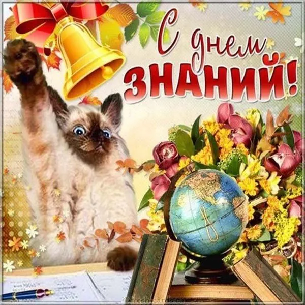 Картинки с Днем знаний (80+ открыток). Прикольные открытки с Днем знаний