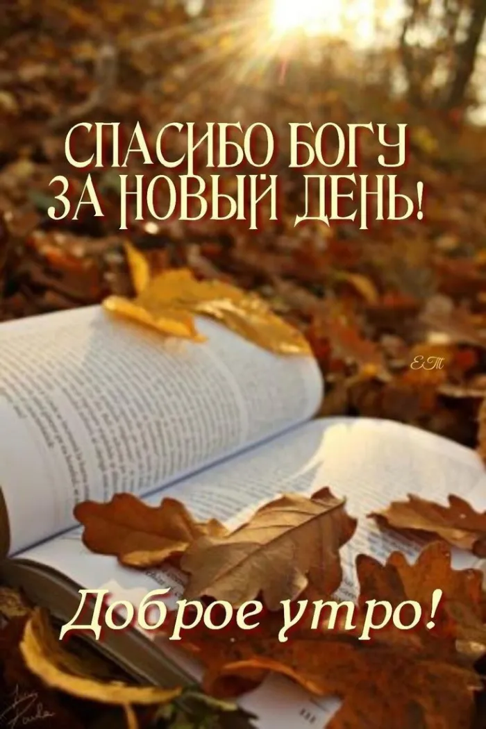 Картинки "Доброе сентябрьское утро". Картинки с Добрым сентябрьским утром 