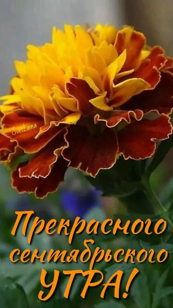 Картинки "Доброе сентябрьское утро". Картинки с Добрым сентябрьским утром 