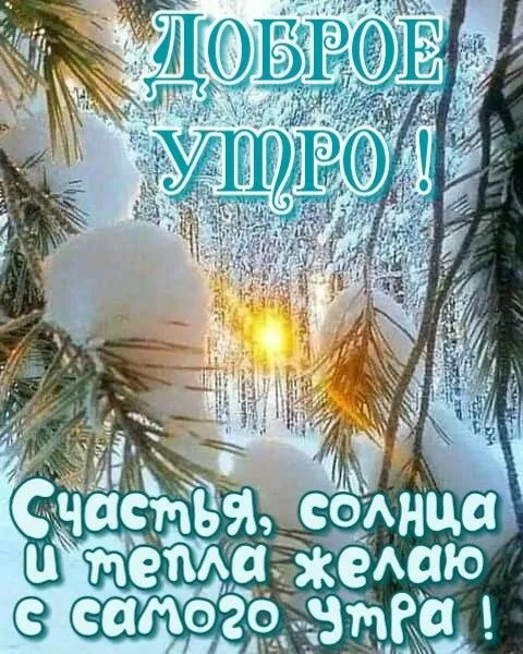 Зимние картинки "Доброе утро". Зимние картинки "Доброго утра" с пожеланиями