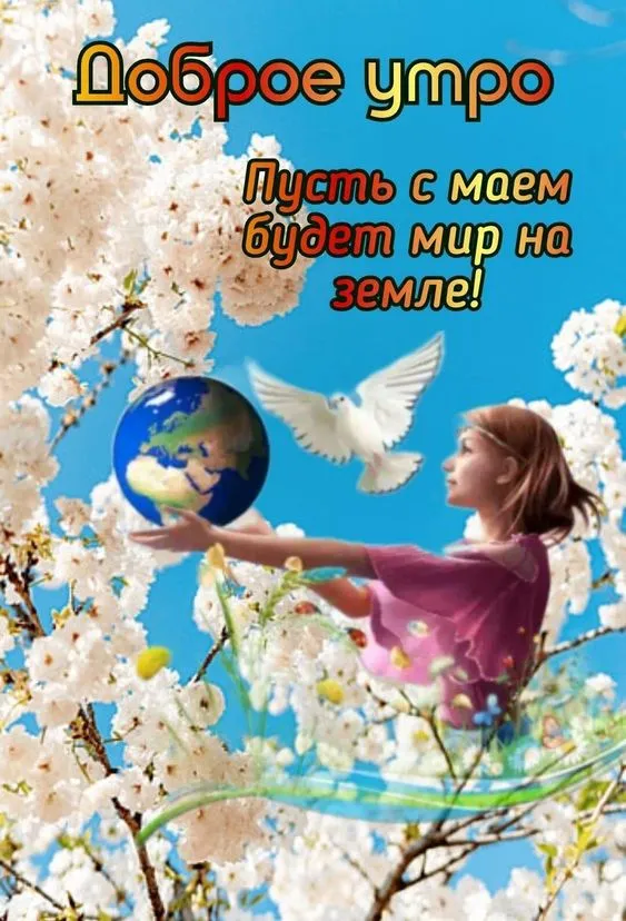 Картинки с Доброе майское утро 2024. Красивые картинки с добрым майским утром