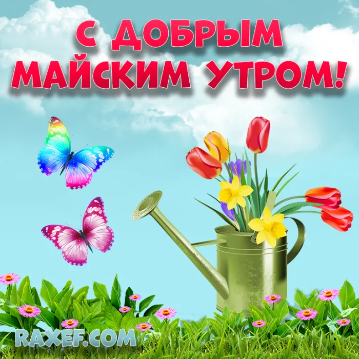 Картинки с Доброе майское утро 2024. С добрым майским утром - картинки с пожеланиями