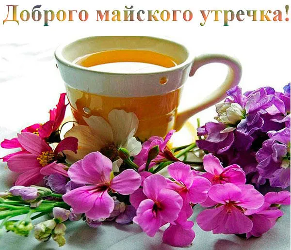 Картинки с Доброе майское утро 2024. С добрым майским утром - картинки с пожеланиями