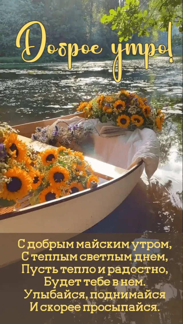 Картинки с Доброе майское утро 2024. Прикольные картинки с добрым майским утром