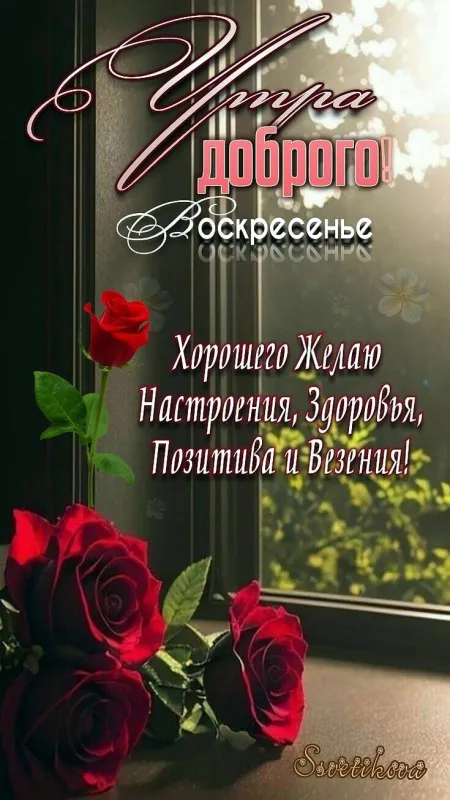 100+ картинок с Добрым утром Воскресенья. Красивые картинки Доброе утро воскресенья