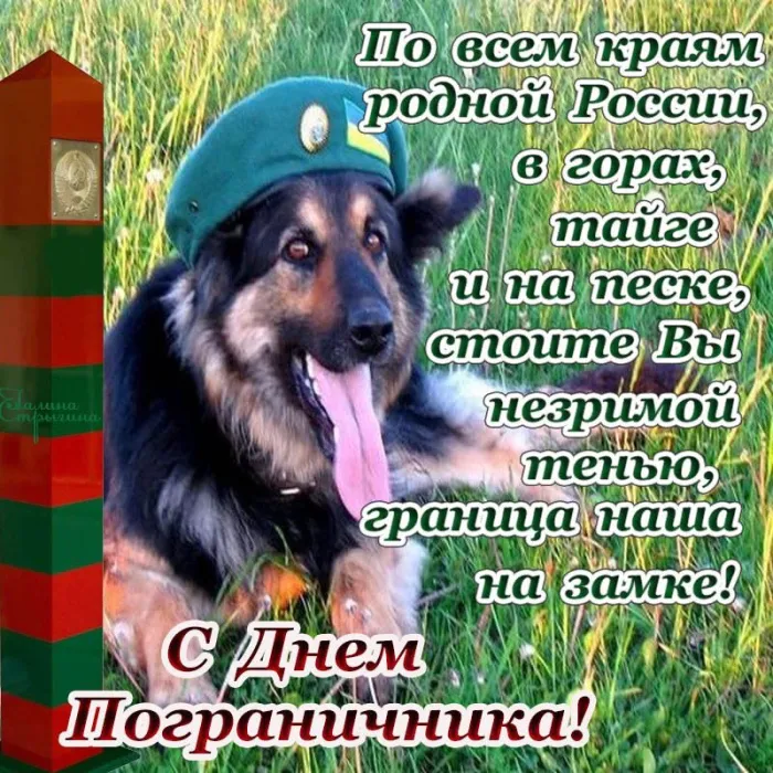 Прикольные картинки и открытки с Днем пограничника. С Днем пограничника - прикольные картинки с пожеланиями