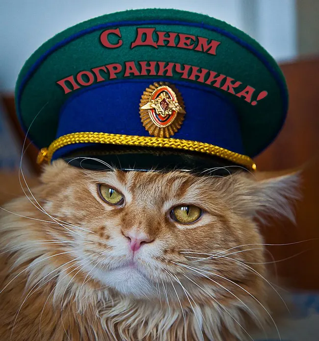 Прикольные картинки и открытки с Днем пограничника. Прикольные картинки для отслуживших 