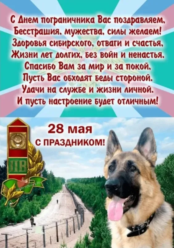 Прикольные картинки и открытки с Днем пограничника. С Днем пограничника - прикольные картинки с пожеланиями