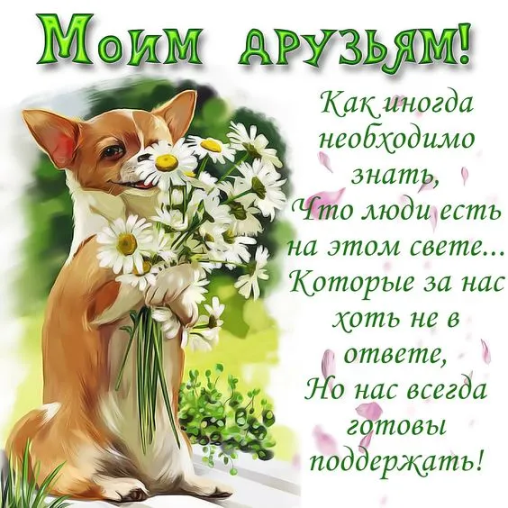 Картинки с Международным Днем дружбы (55 открыток). Картинки Моим друзьям (на День дружбы)