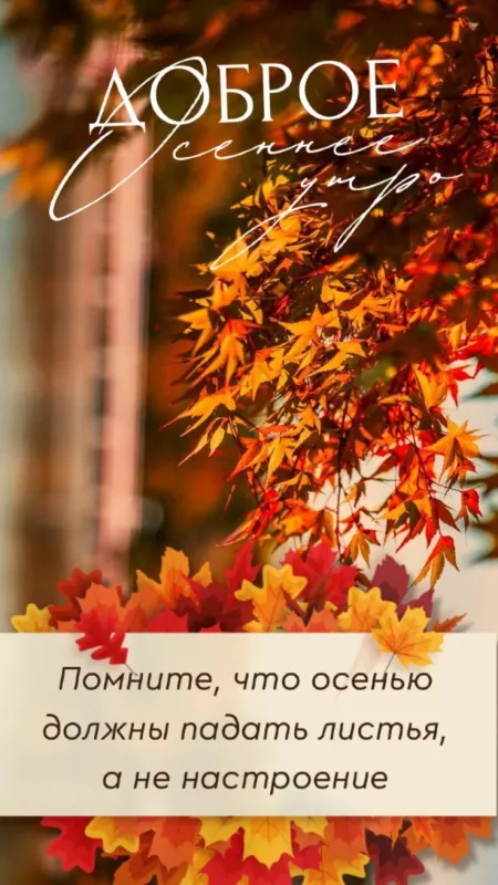 Красивые картинки Доброго осеннего утра. Красивые картинки с Добрым осенним утром