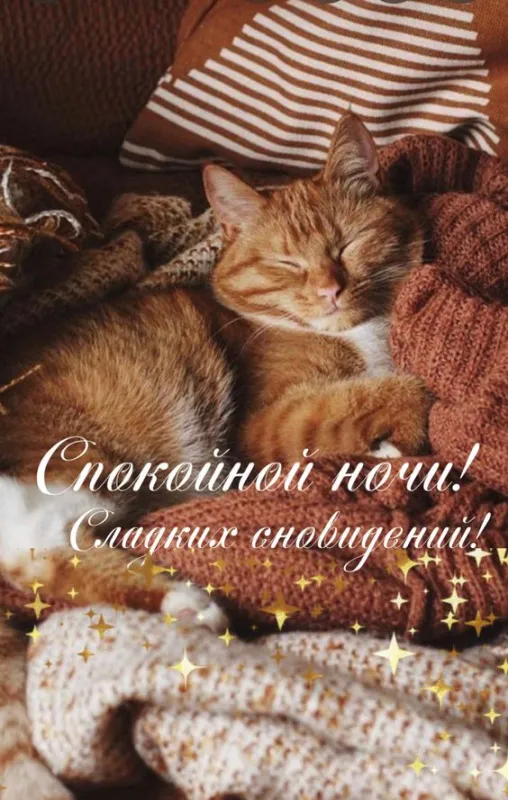 Прикольные картинки и открытки с Днем парикмахера. Картинки с Днем парикмахера - красивые и прикольные