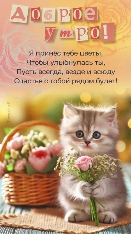 Красивые картинки Доброго осеннего утра. Доброго осеннего утра - картинки с котами