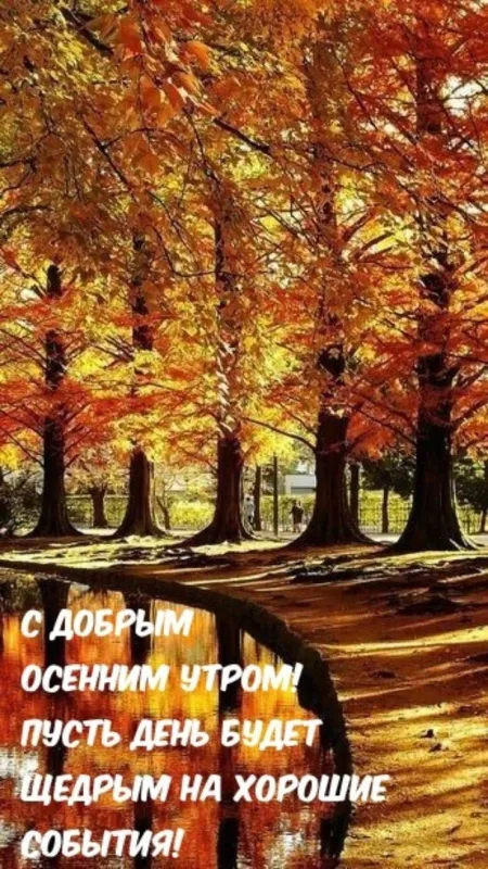 Красивые картинки Доброго осеннего утра. Красивые картинки с Добрым осенним утром