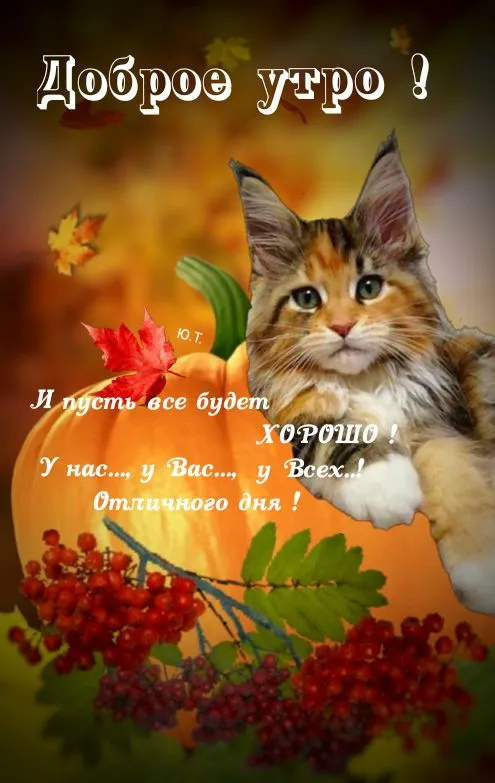Красивые картинки Доброго осеннего утра. Доброго осеннего утра - картинки с котами