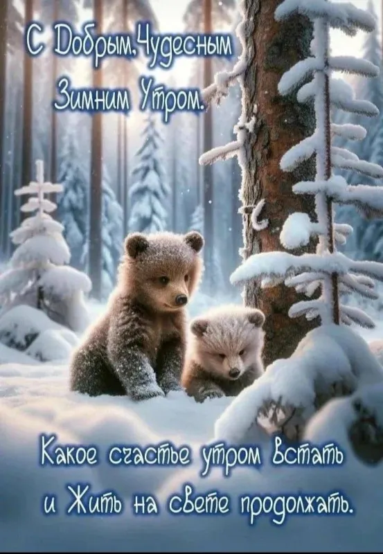Красивые снежные картинки "Доброе утро". Доброе снежное утро - картинки со снегом