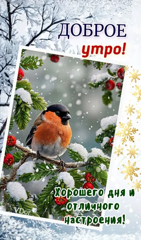 Красивые зимние картинки "Доброе утро" для скачивания. Зимние картинки "Доброе утро" с пейзажами