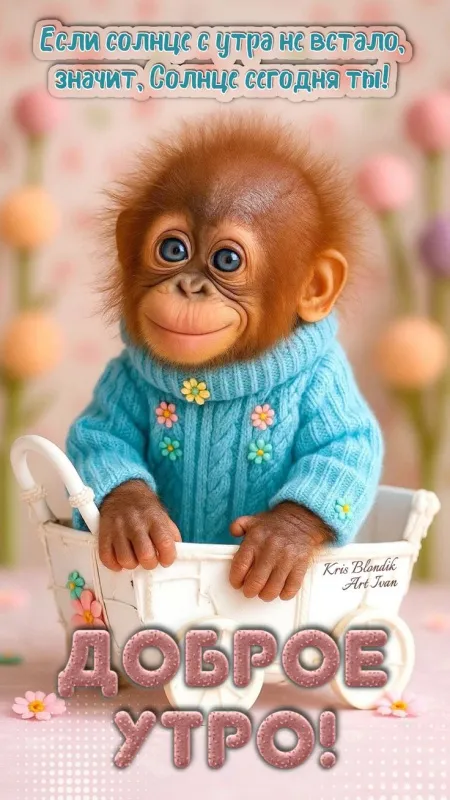 Картинки "Доброе утро" позитивные. С Добрым утром - позитивные картинки