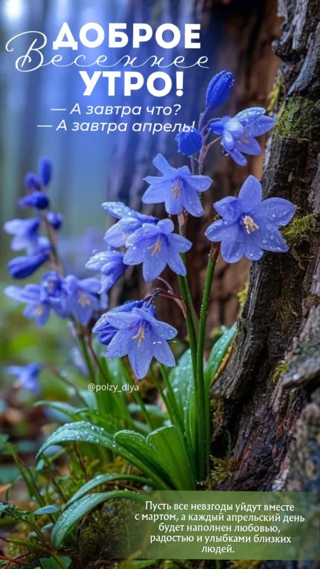 Красивые картинки Доброе апрельское утро. Красивые картинки Доброе утро апреля